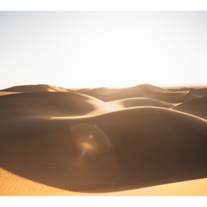 Dunes d'Erg Cheggaga